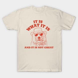 It Is What It Is And It Is Not Great - Funny Bear Raccoon T-Shirt